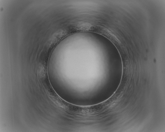 X0000074230641200609011243