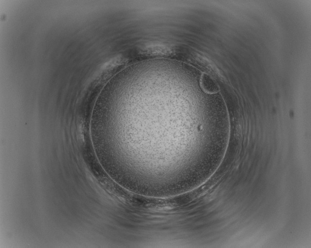 X0000074230643200609011243