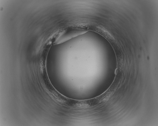 X0000074230644200609011243