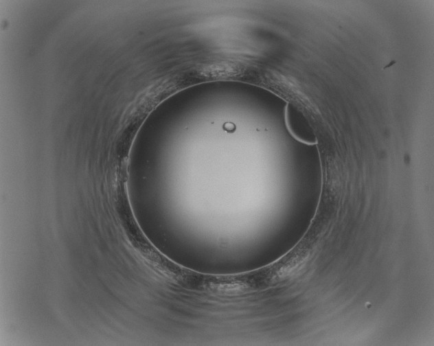 X0000074230645200609011243