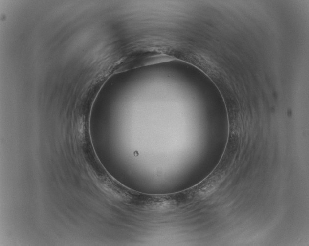 X0000074230646200609011243