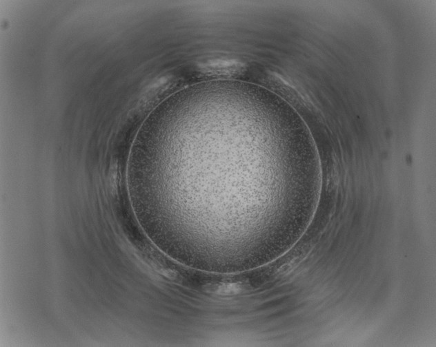 X0000074230647200609011243