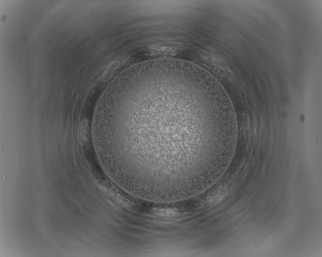 X0000074230649200609011243