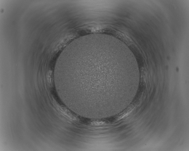 X0000074230650200609011243