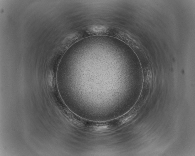 X0000074230651200609011243