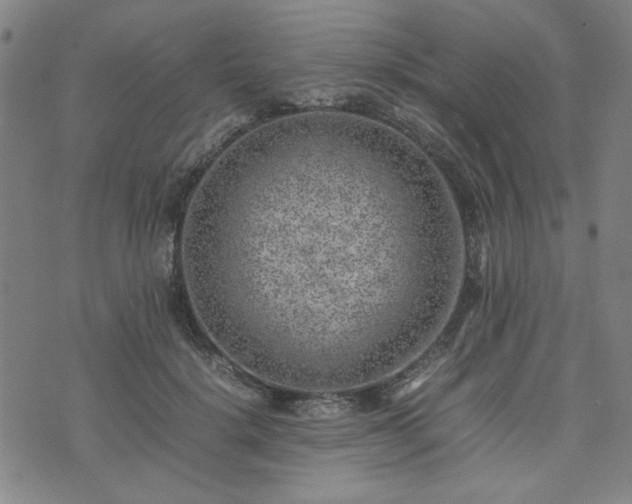 X0000074230652200609011243