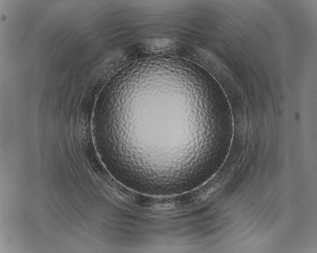 X0000074230653200609011243