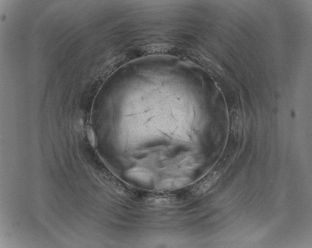 X0000074230655200609011243