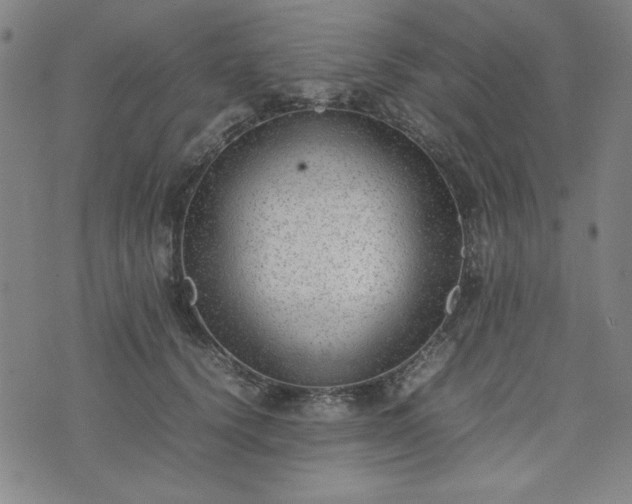 X0000074230656200609011243