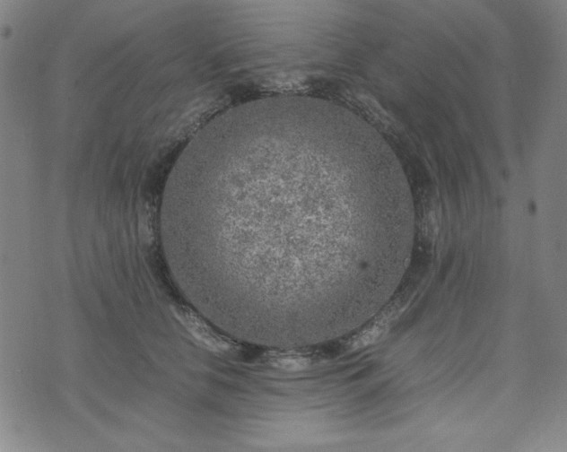 X0000074230658200609011243