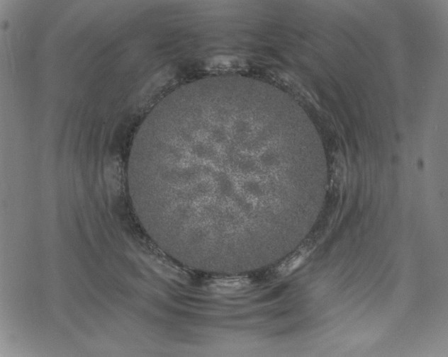 X0000074230659200609011243