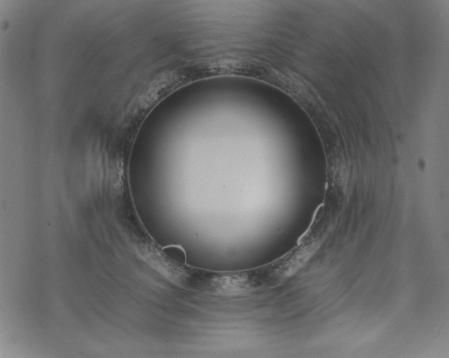 X0000074230660200609011243