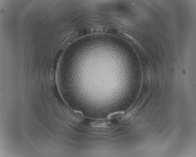 X0000074230661200609011243