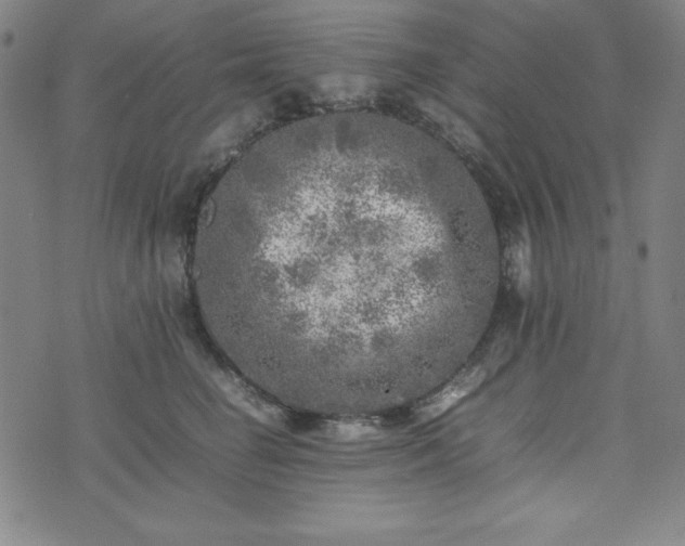 X0000074230662200609011243