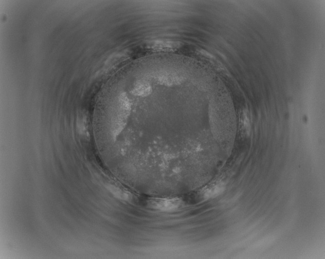 X0000074230663200609011243