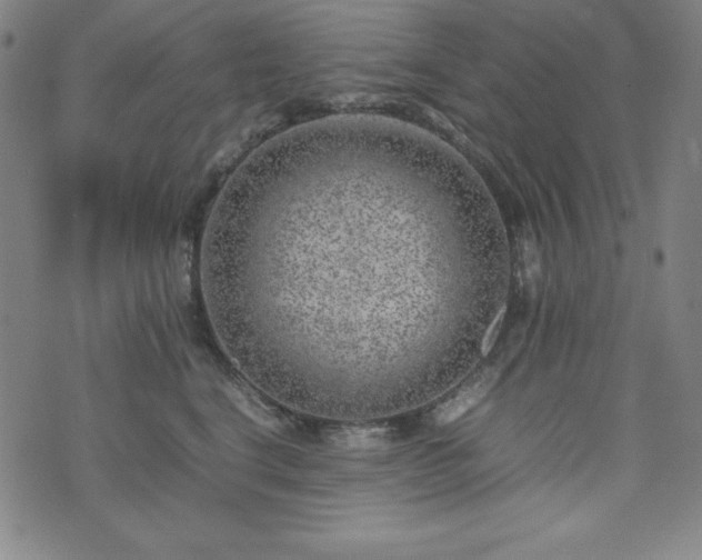 X0000074230664200609011243