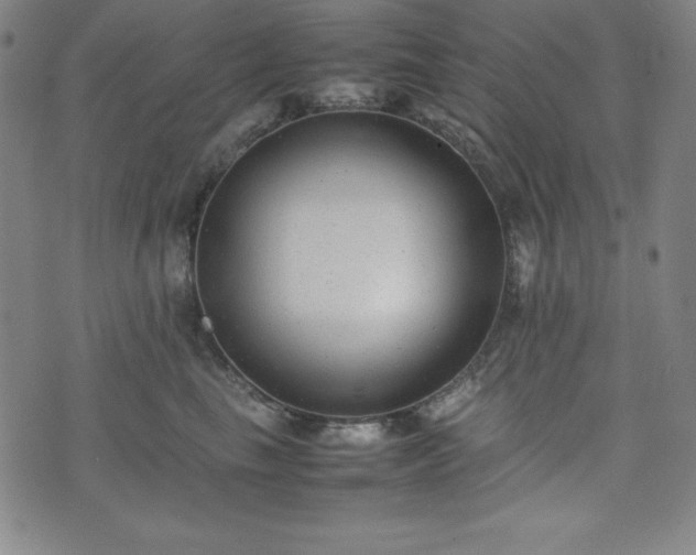 X0000074230665200609011243