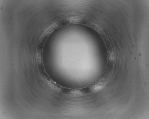 X0000074230666200609011243