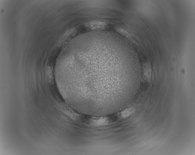 X0000074230667200609011243