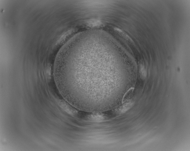 X0000074230668200609011243