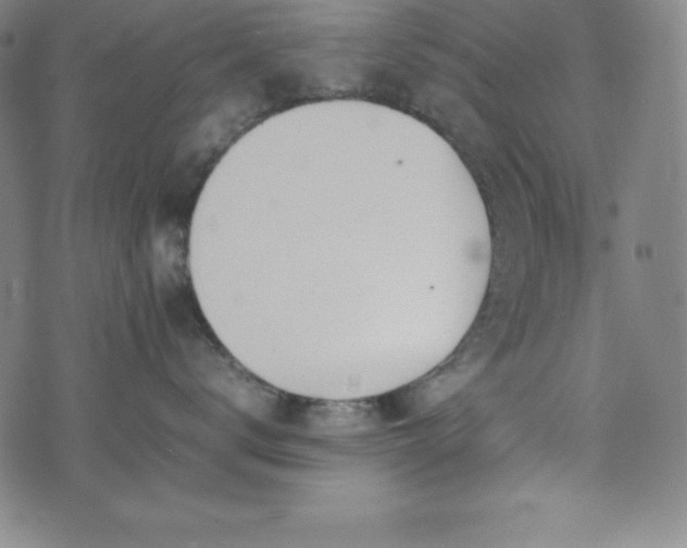 X0000074230672200609011243