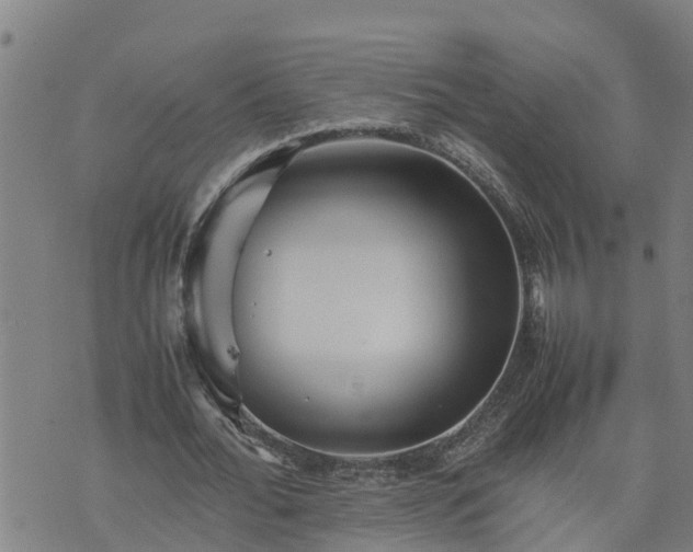 X0000074230676200609011242