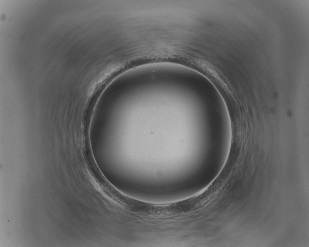 X0000074230677200609011242