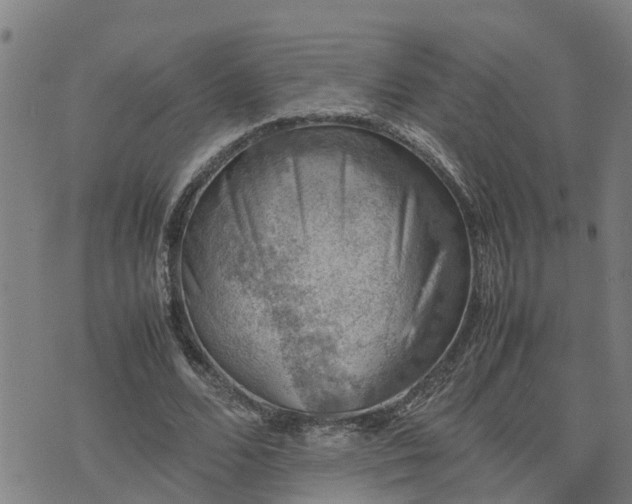 X0000074230680200609011242