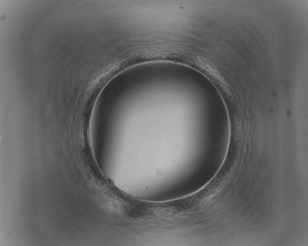 X0000074230681200609011242