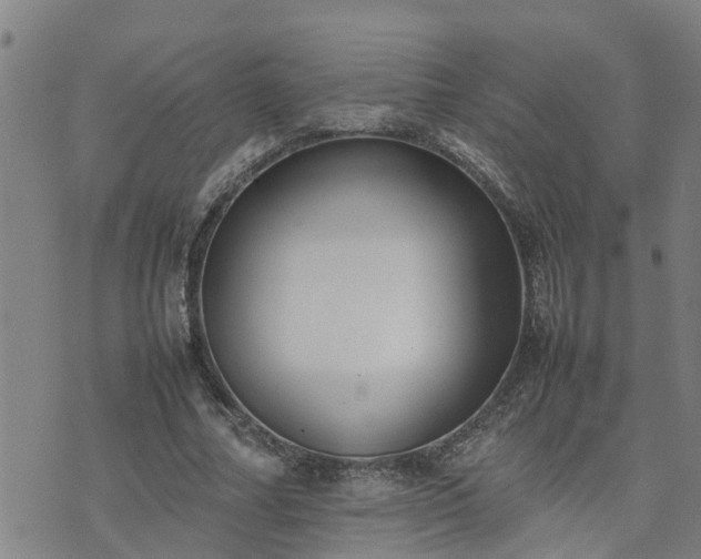 X0000074230682200609011242