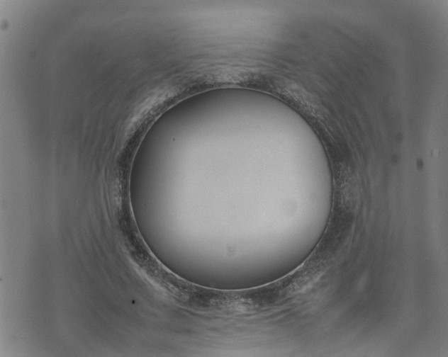 X0000074230683200609011242