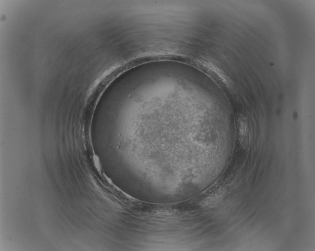 X0000074230684200609011242