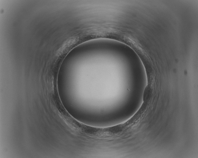 X0000074230685200609011242