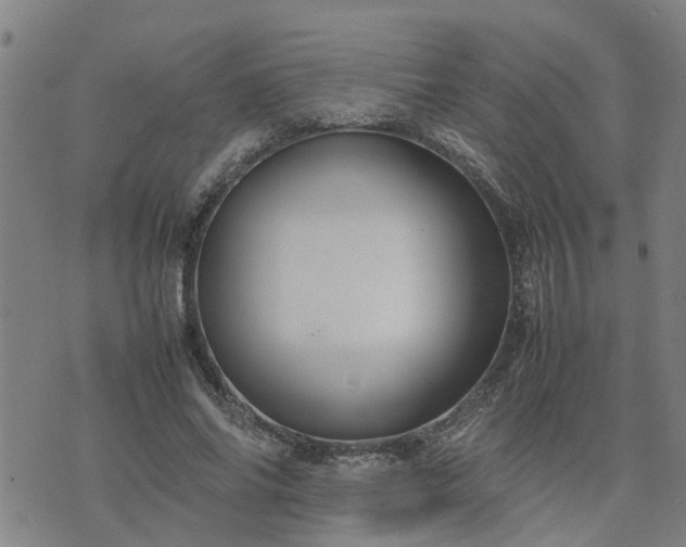 X0000074230686200609011242