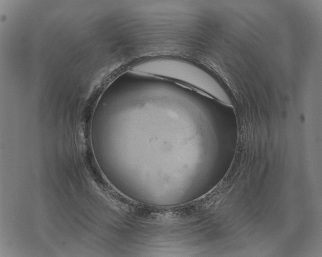 X0000074230688200609011242