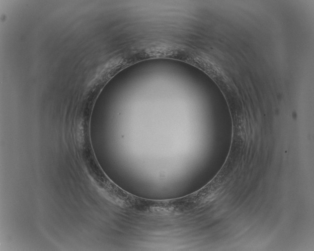 X0000074230690200609011242