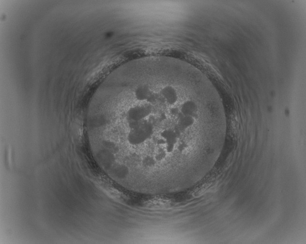 X0000074230691200609011242