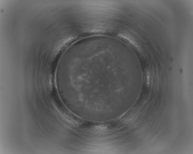 X0000074230692200609011242