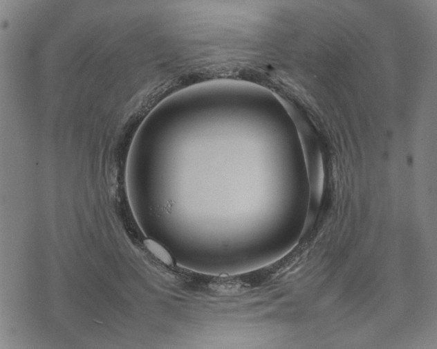 X0000074230693200609011242