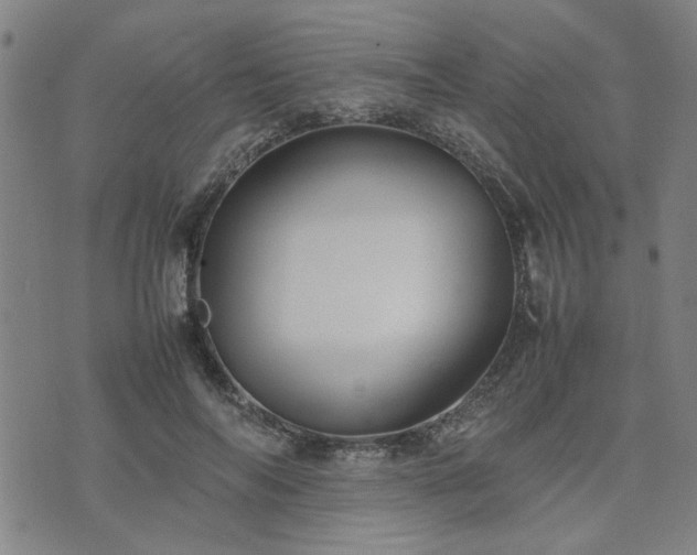 X0000074230694200609011242