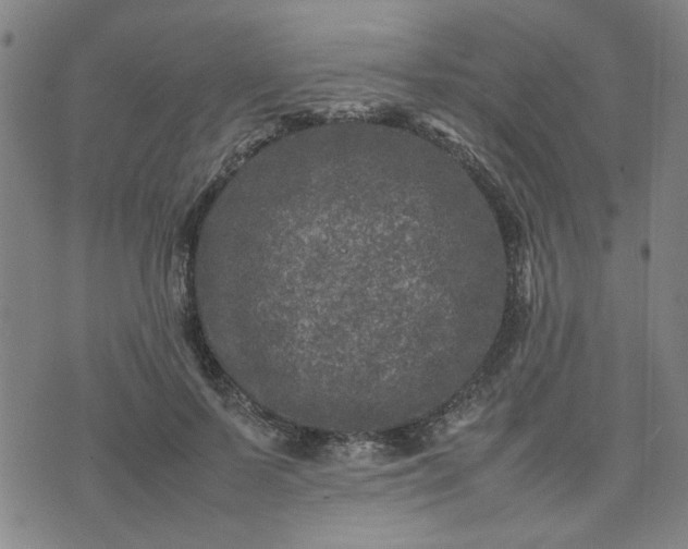 X0000074230695200609011242