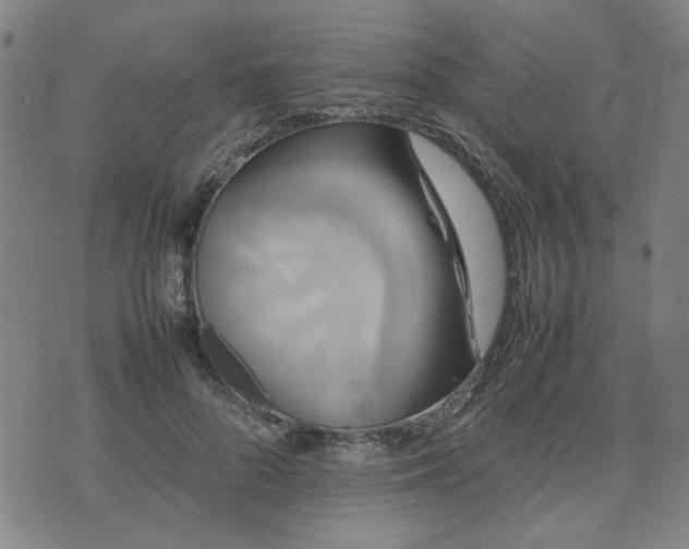 X0000074230696200609011242