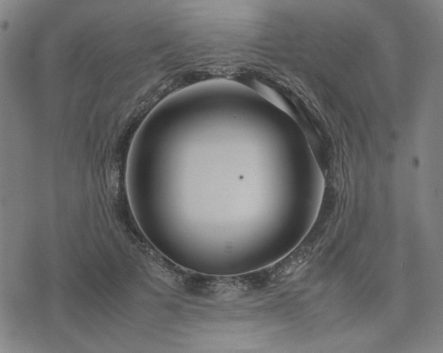 X0000074230697200609011242