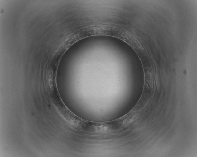 X0000074230698200609011242