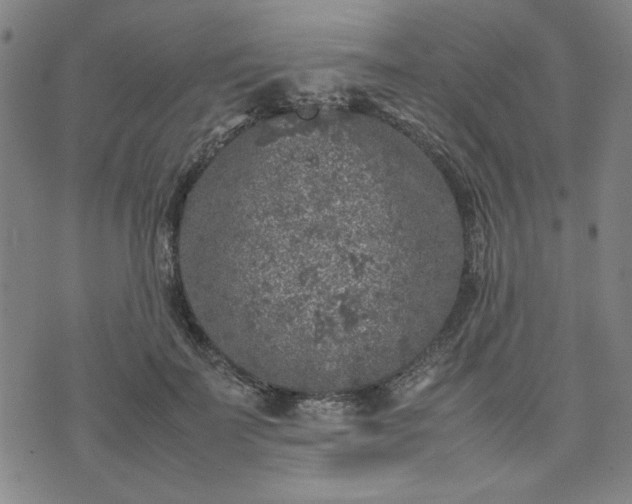 X0000074230699200609011242