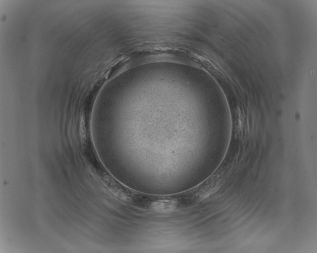 X0000074230700200609011242