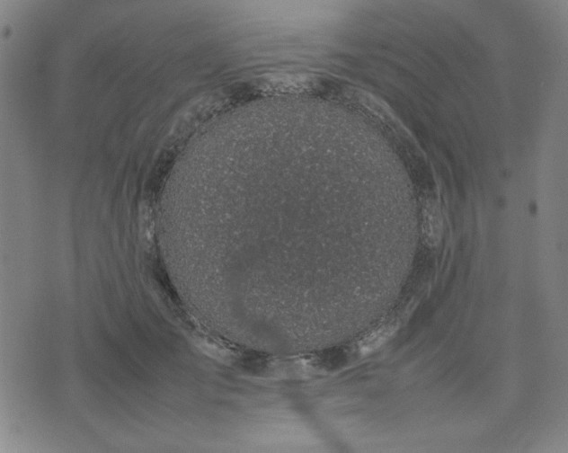 X0000074230701200609011242