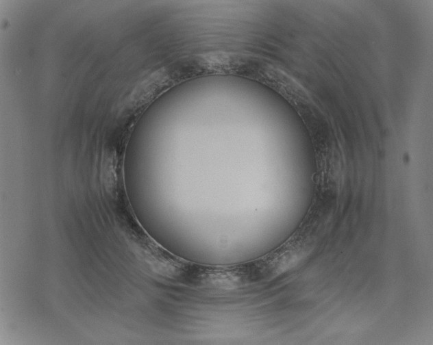 X0000074230702200609011242