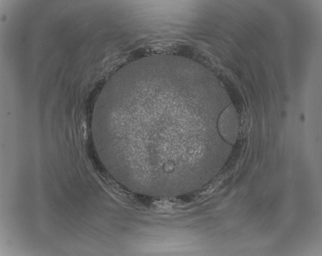 X0000074230703200609011242