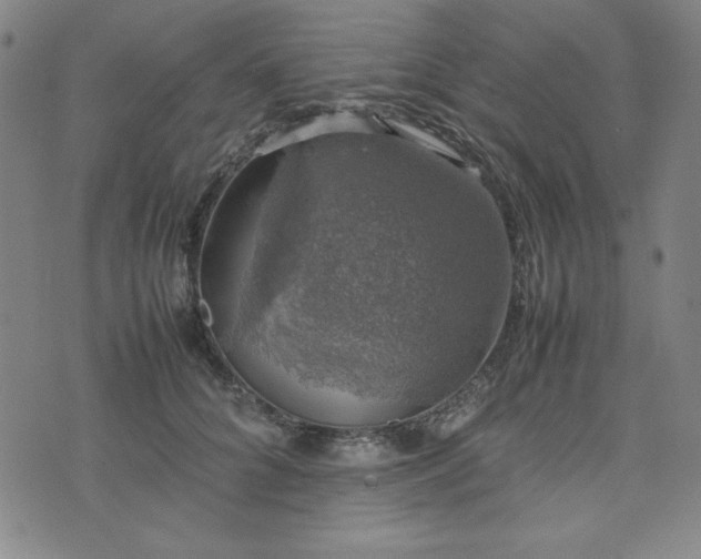 X0000074230704200609011242